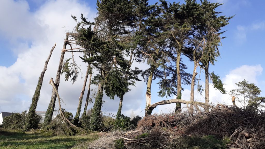 Tempête au camping