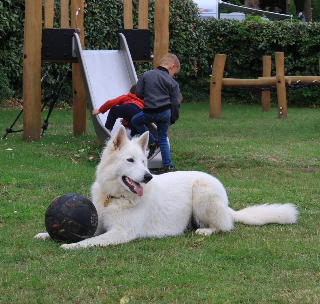 Saga et ballon