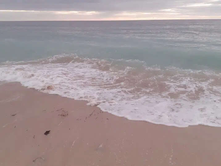 la-mer