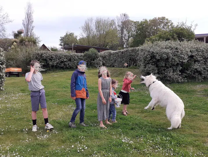 le-loup-et-les-enfants