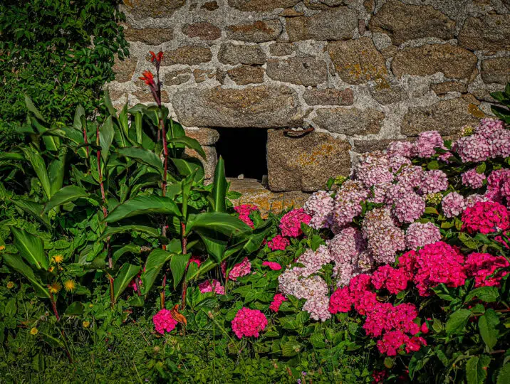 Kerouer-village-fleuri