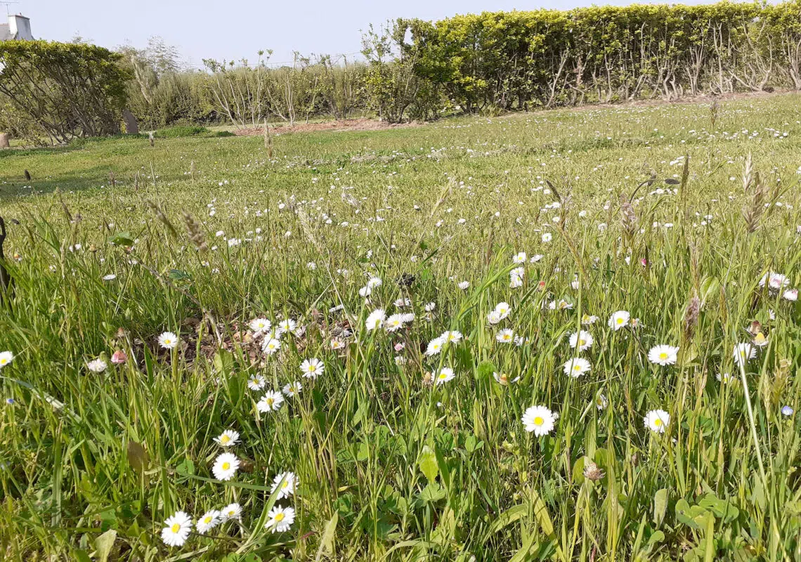 emplacement-prairie