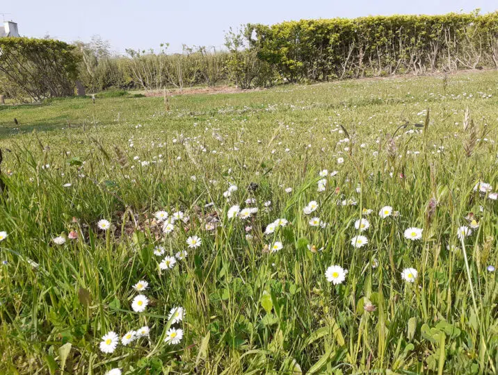 emplacement-prairie