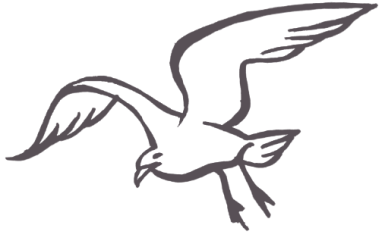 mouette