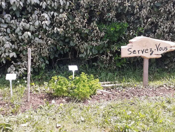 potager-aromatique