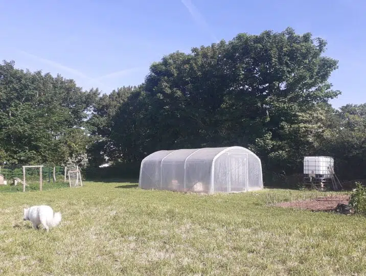 LE CHAMP DES POULES ET POTAGER