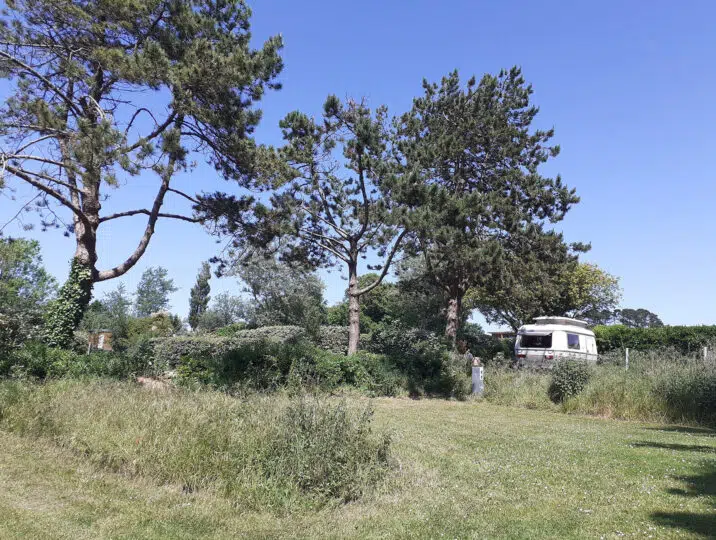 petite-caravane-au-loup-blanc