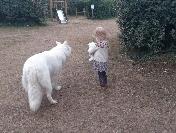 20 UNE PELUCHE NOMMEE SAGA