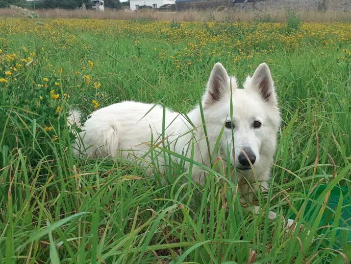 5 SAGA 4 ans fin juin 25