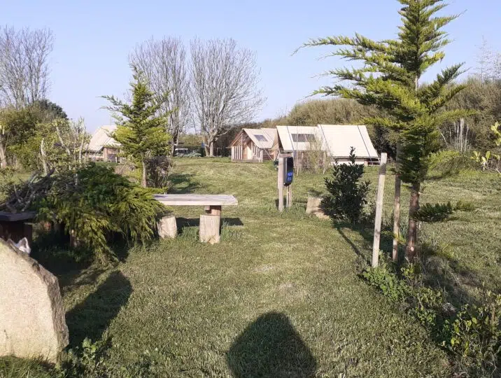 Soleil de mars au Triskell